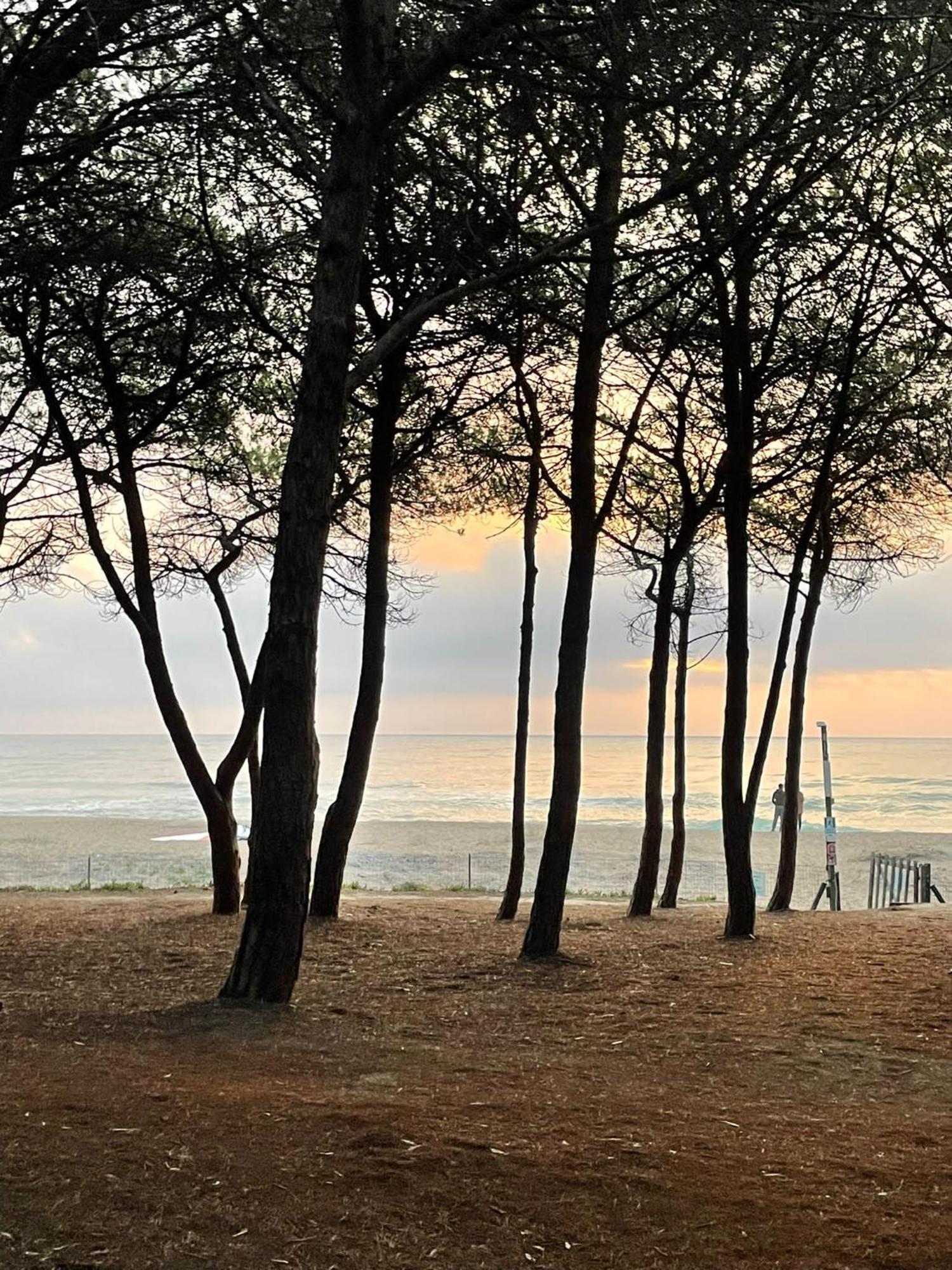 Happy Camp Mobile Homes In Camping Iscrixedda Lotzorai Εξωτερικό φωτογραφία